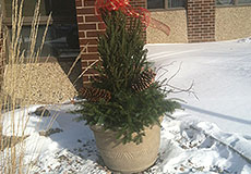 Landscaping services