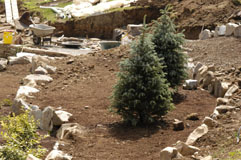 landscaping-56