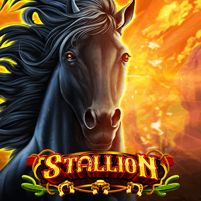 Stallion